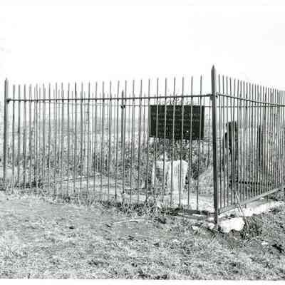 Fence and boundary stone at Elmwood