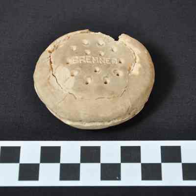 Hardtack biscuit
