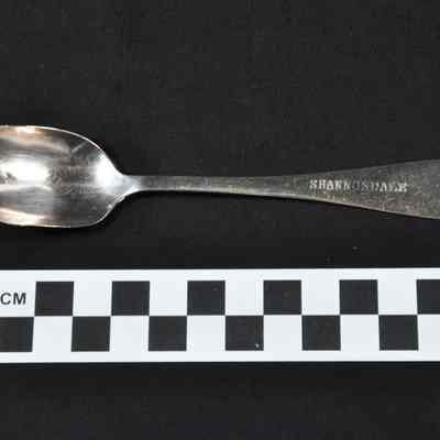 Silver plated teaspoon