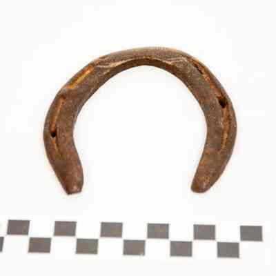 Small horseshoe