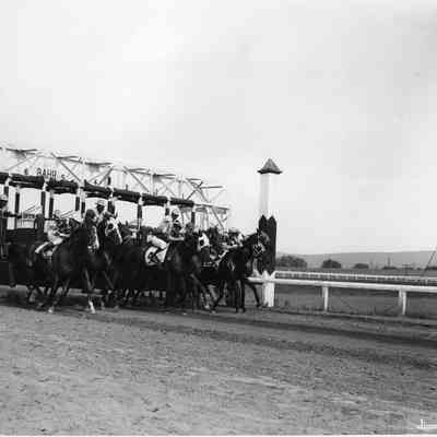 Charles Town Races - start of race