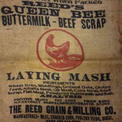 Laying Mash Sack