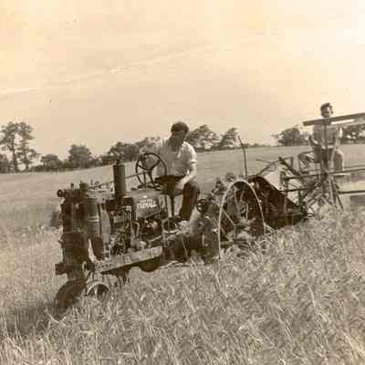 James W. Merchant on tractor and Oliver P. Merchant on harvester at the Merchant farm in Bardane