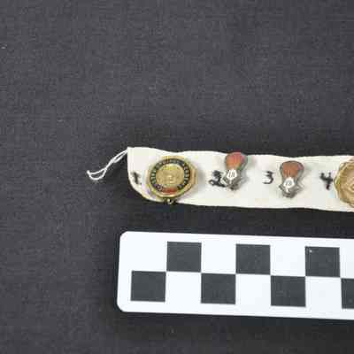 Cotton strip with 14 pins attached