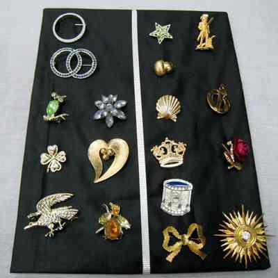 DAR campaign pins