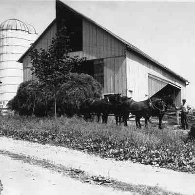 Gap View Farm Outbuildings