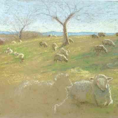 Pastel of lambs feeding