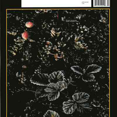 Wonderful West Virginia Back Cover