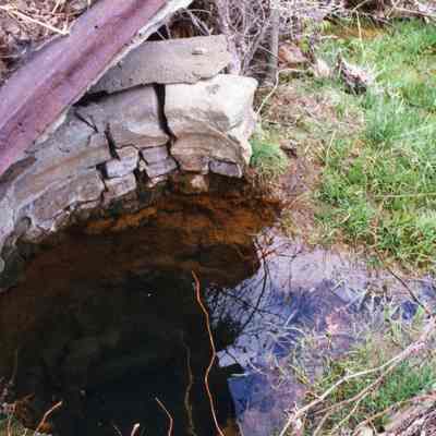 Ruins of Shannondale Springs