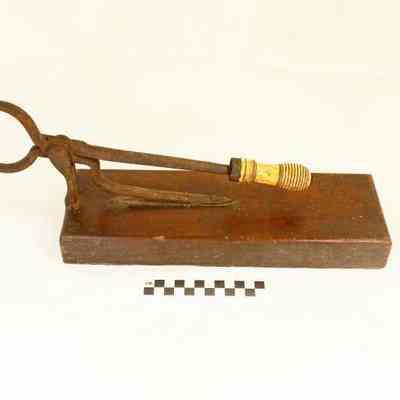 Iron sugar cutter shaped like tongs
