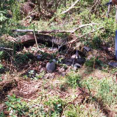 Ruins of Shannondale Springs