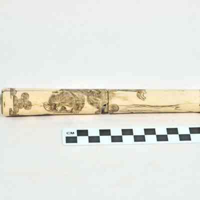 Ivory handled walking cane