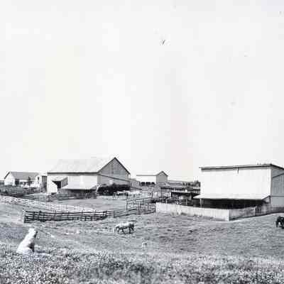 Barns and outbuildings at Gap View Farm