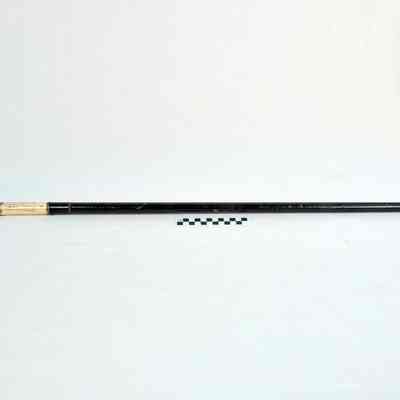 Ivory handled walking cane