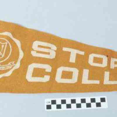 Storer College pennant