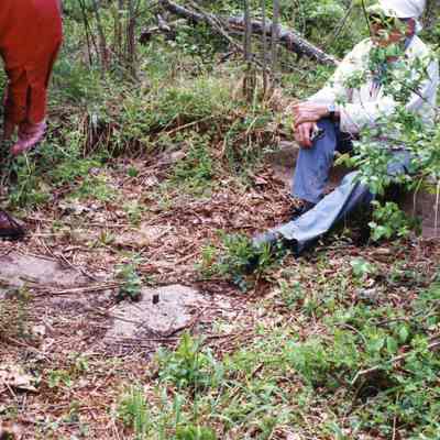 Ruins of Shannondale Springs