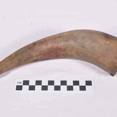 Powder horn
