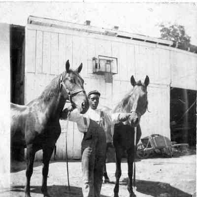 Young African American man with two horses