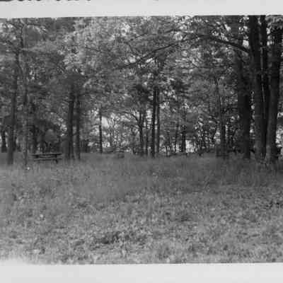 Skyline Drive picnic - June, 1951