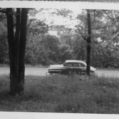Skyline Drive picnic - June, 1951