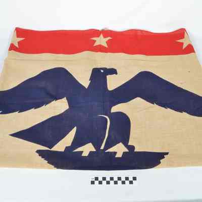 National War Fund flag