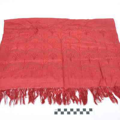 Table cover with fringe