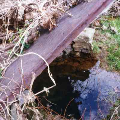 Ruins of Shannondale Springs