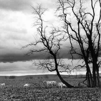 Duffields, December 1985