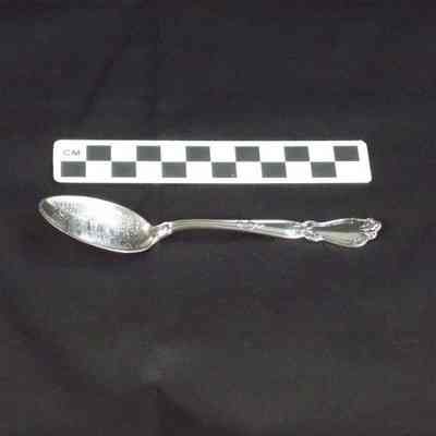 St. George's Chapel commemorative spoon