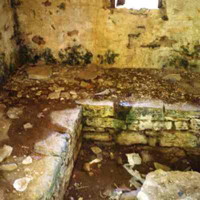 Ruins of Shannondale Springs