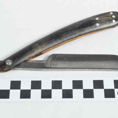 Razor with wood handle