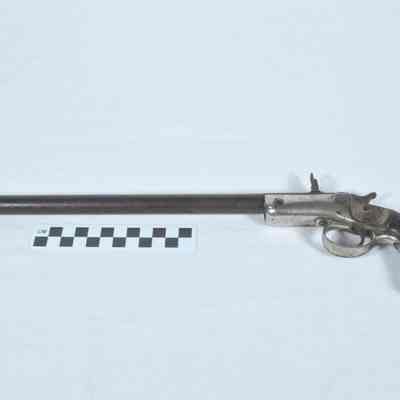 Long Barrelled Pistol