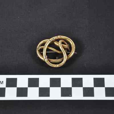 Gold pin with entwined tubes