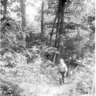 Trail to Buzzards Knob, Blue Ridge Mountains, August 1928