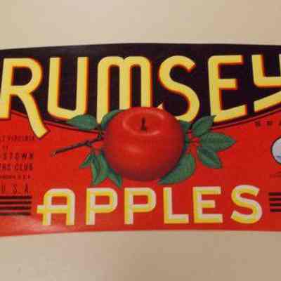 Paper label advertising Rumsey Apples