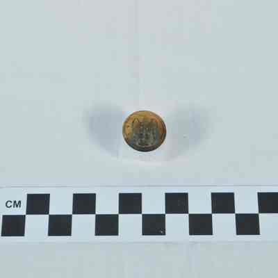 Brass Confederate general's uniform button