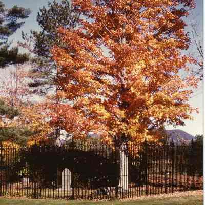 John Brown's grave site