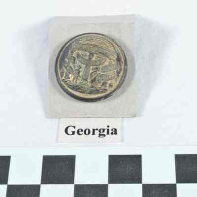 Georgia button