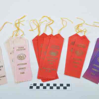 Blue, red and white ribbons from the Jefferson County Fair
