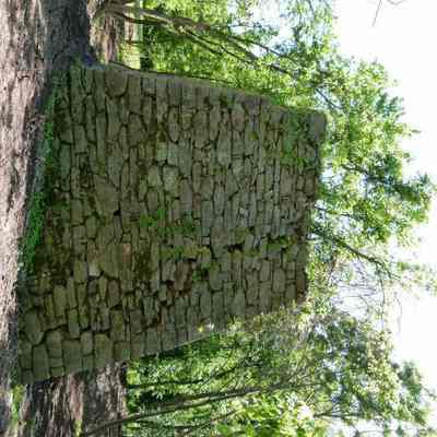 Shannondale iron furnace: Copyright: E. C. Field; Origformat: Other