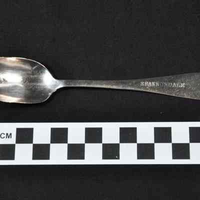 Silver plated teaspoon