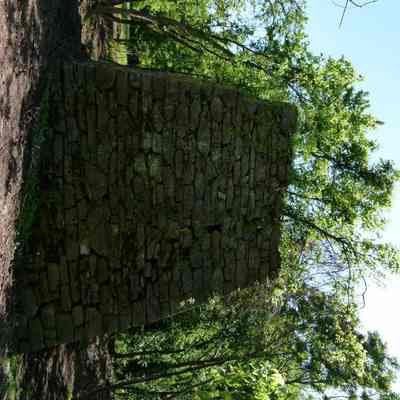 Shannondale iron furnace: Copyright: E. C. Field; Origformat: Other