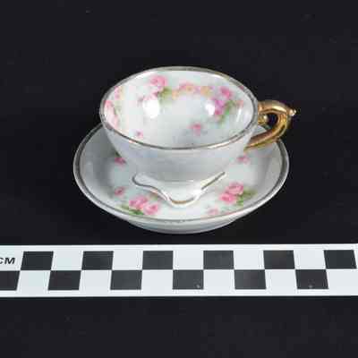 Tea cup with saucer