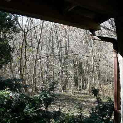 Shannondale Iron Furnace and log cabin: Copyright: E. C. Field; Origformat: Other