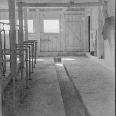 Interior of barn, likely milk parlor, at Tackley Farm in Bardane