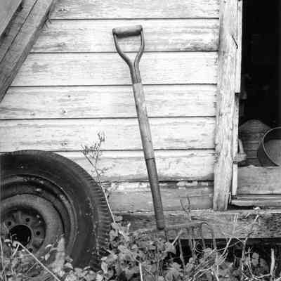 Shed, Nip Parkinson's Farm