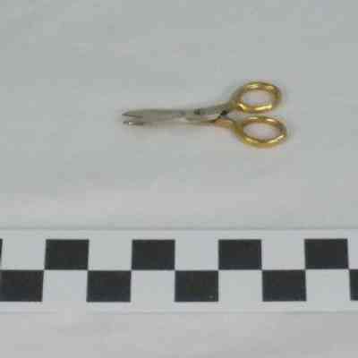 Gold handled scissors