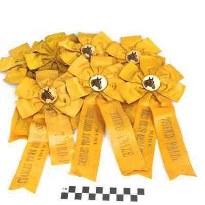 Charles Town Horse Show ribbons