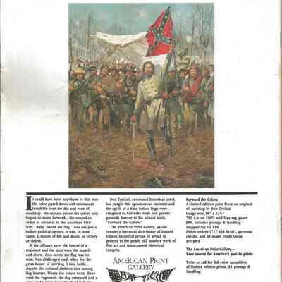 Blue & Gray Back Cover