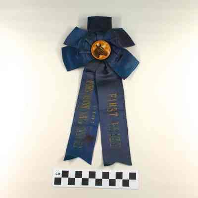 Charles Town Horse Show ribbons